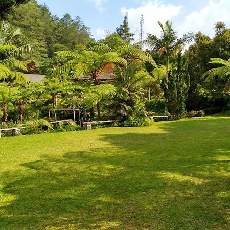 Warung Rekreasi Bedugul Hotel Eksteriør billede