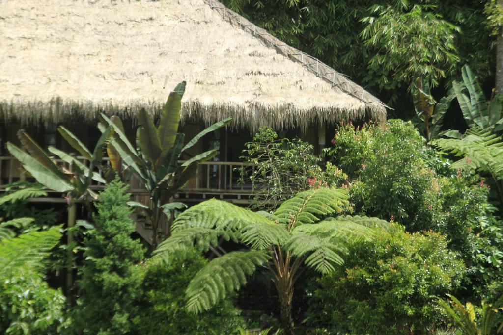 Warung Rekreasi Bedugul Hotel Værelse billede